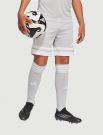 Pantalone corto Adidas - grigio
