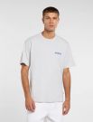 T-shirt manica corta Dickies - light grey