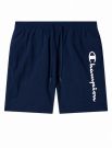 Boxer mare Champion - navy