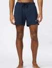 Boxer mare Champion - navy
