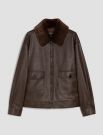 Giubbino Pennyblack - brown
