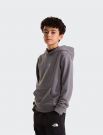 Felpa sportiva The North Face - grey