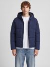 Giubbino imbottito Jack & Jones - sky capitain