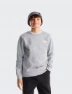 Felpa sportiva The North Face - grigio