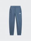 Pantalone The North Face - granite
