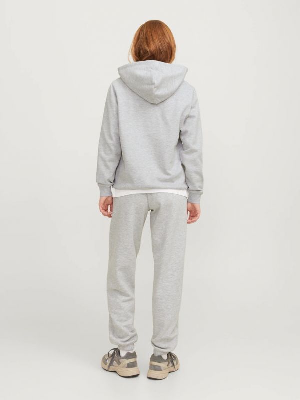 Maglia in felpa cappuccio Jjxx - light grey melange
