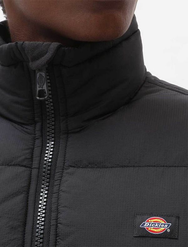 Giubbino imbottito Dickies - black