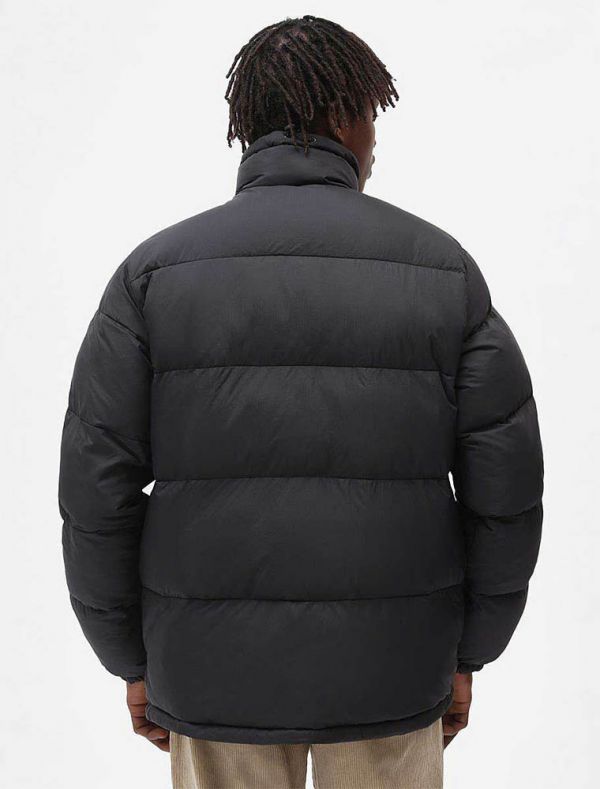 Giubbino imbottito Dickies - black