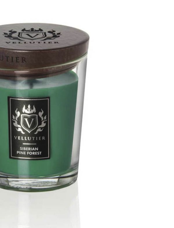 Candela Vellutier - siberian pine forest