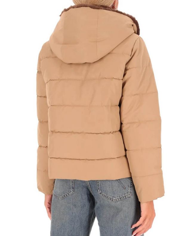 Giubbino Emme - miele