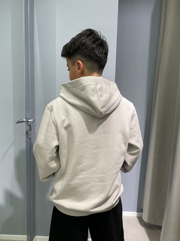 Maglia in felpa Icon - grigio