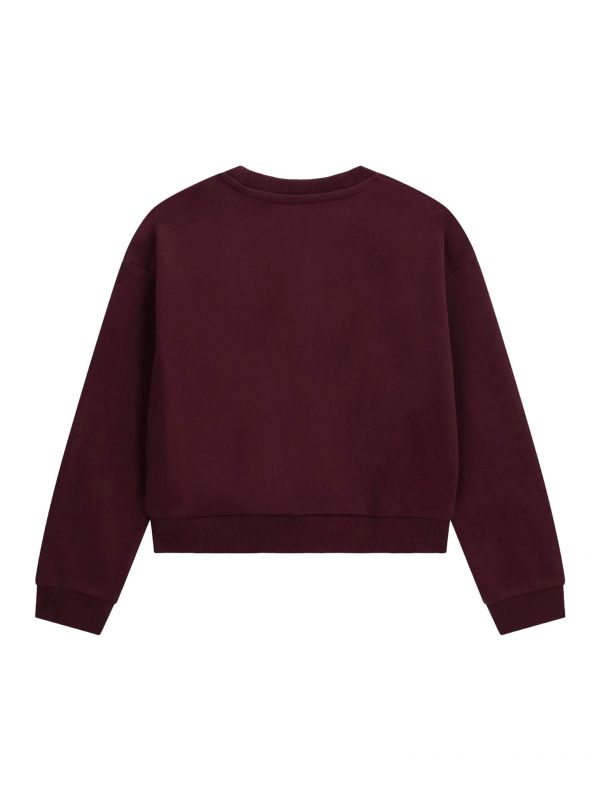 Maglia in felpa Guess - bordeaux