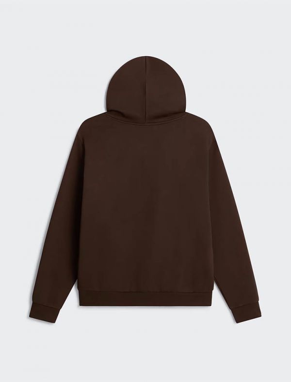 Maglia in felpa cappuccio The North Face - marrone