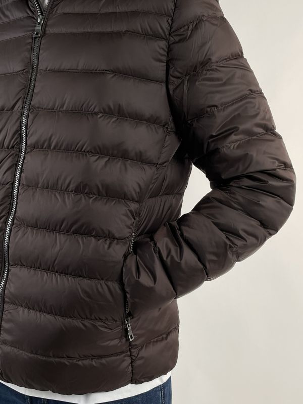 Giubbino imbottito Geox - marrone