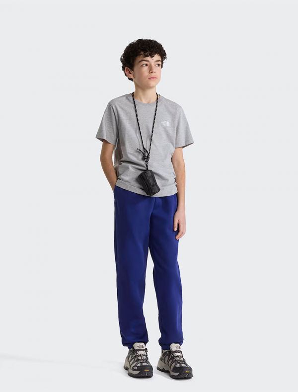 T-shirt manica corta sportiva The North Face - grigio