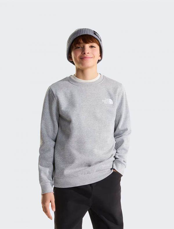 Felpa sportiva The North Face - grigio