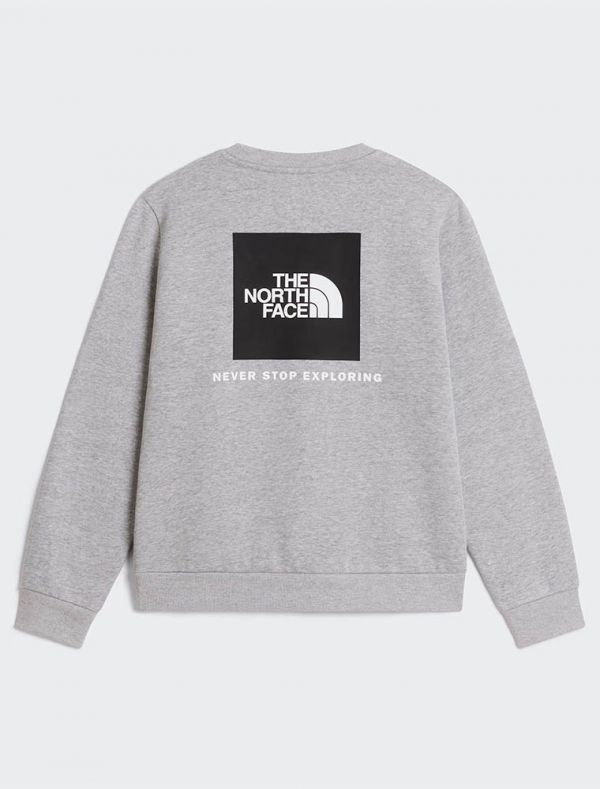 Felpa sportiva The North Face - grigio