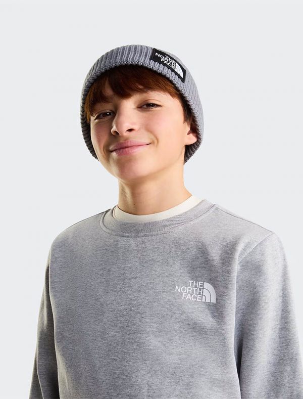 Felpa sportiva The North Face - grigio