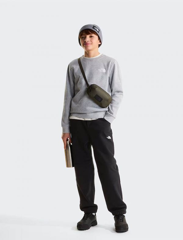 Felpa sportiva The North Face - grigio