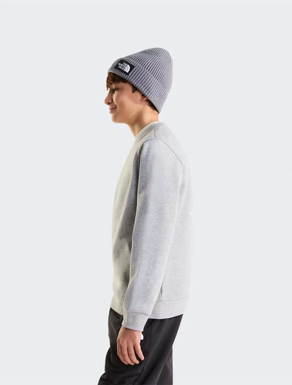 Felpa sportiva The North Face - grigio