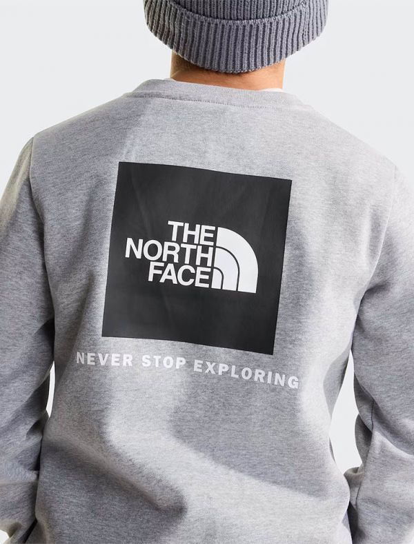 Felpa sportiva The North Face - grigio