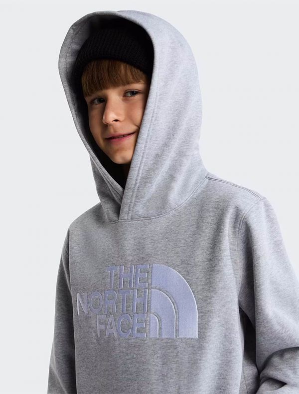 Felpa sportiva The North Face - grigio