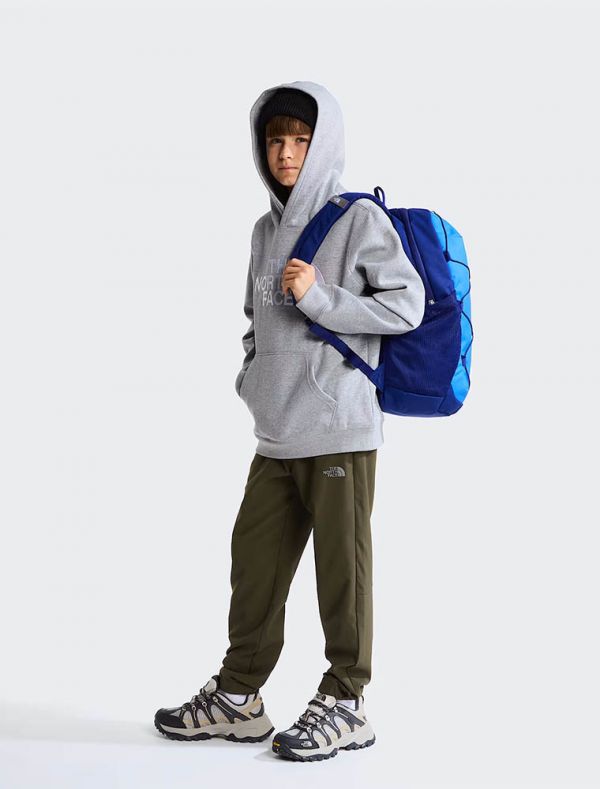 Felpa sportiva The North Face - grigio
