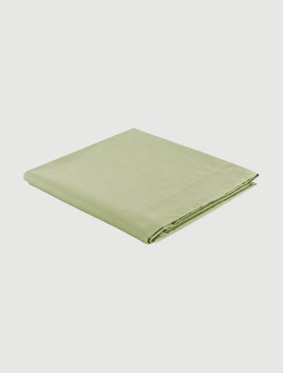 Lenzuola piana 1 piazza Zucchi - foglie