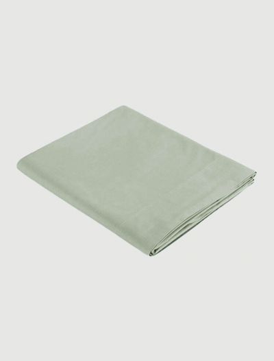 Lenzuola piana 2 piazze Zucchi - aloe