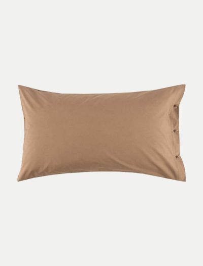 Federa Zucchi - cacao