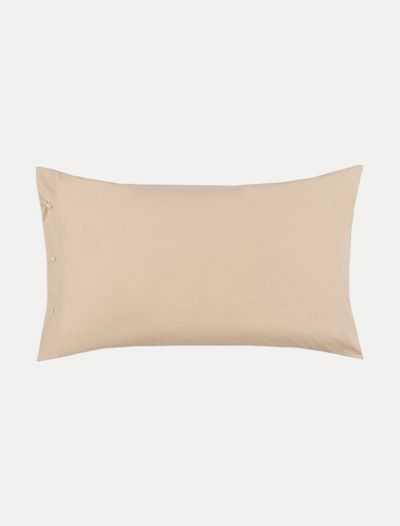 Federa Zucchi - corda