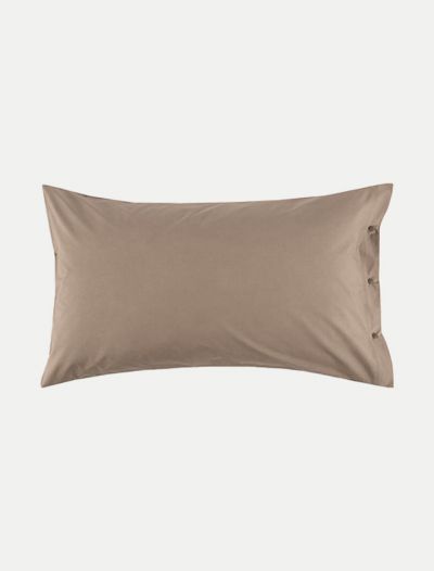 Federa Zucchi - noce