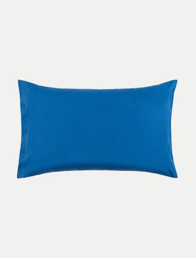 Federa Zucchi - oceano