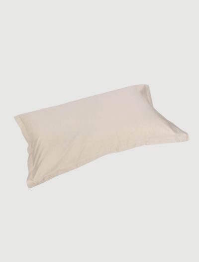 Federa Fazzini - tortora