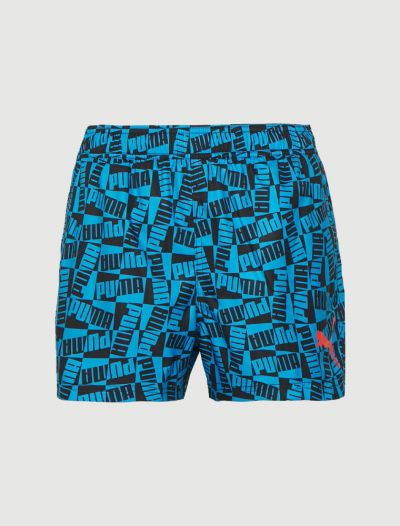 Boxer mare Puma - blue