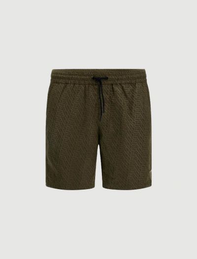 Boxer mare Guess - verde