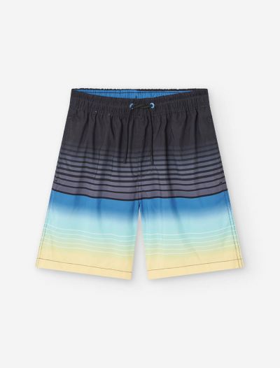 Boxer mare Losan - black