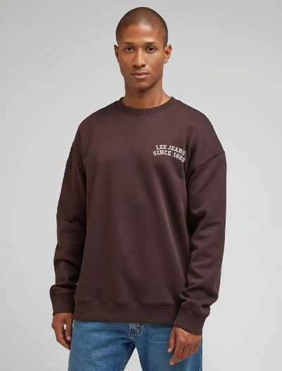 Maglia in felpa Lee - marrone