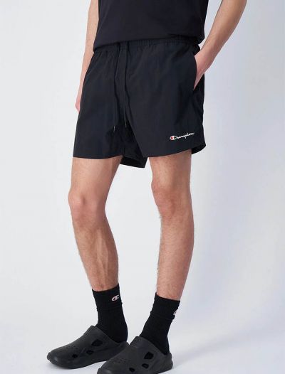 Boxer mare Champion - black