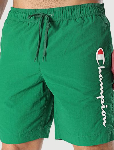 Boxer mare Champion - verde