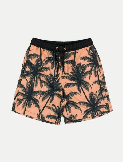 Boxer mare Losan - orange
