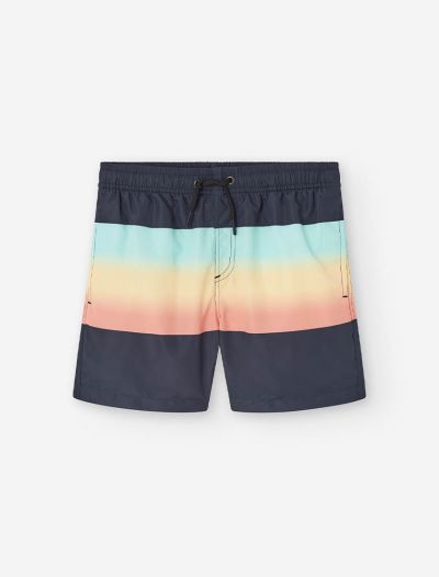 Boxer mare Losan - black