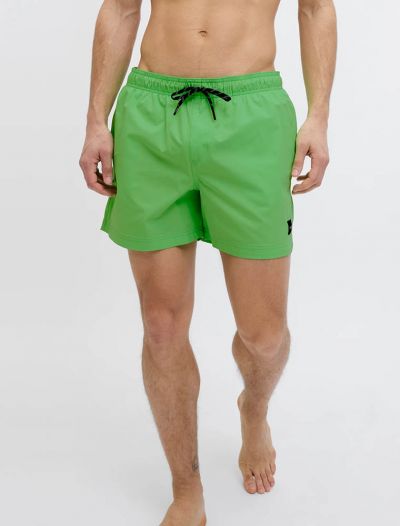 Boxer mare Jack & Jones - green