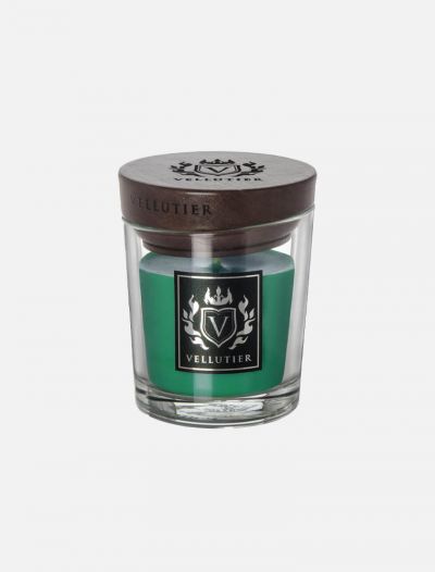 Candela Vellutier - siberian pine forest