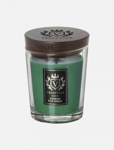 Candela Vellutier - siberian pine forest