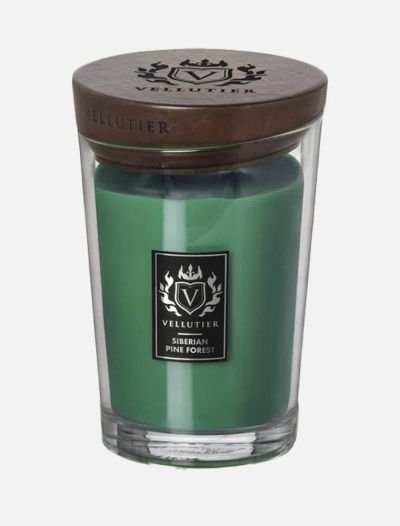 Candela Vellutier - siberian pine forest