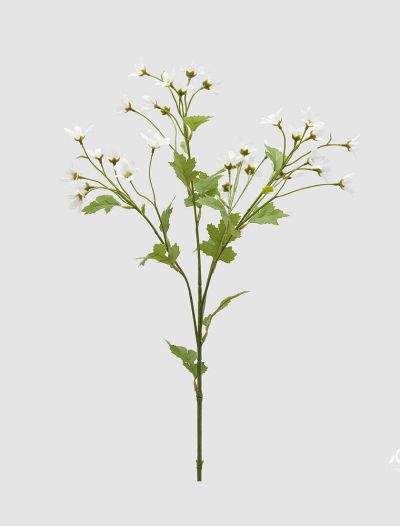 Tendenza Edg - bianco