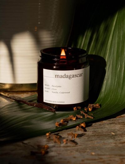 Candela Lilium - madagascar