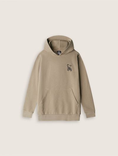Maglia in felpa Scorpion Bay - beige