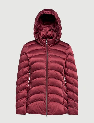 Giubbino Geox - bordeaux